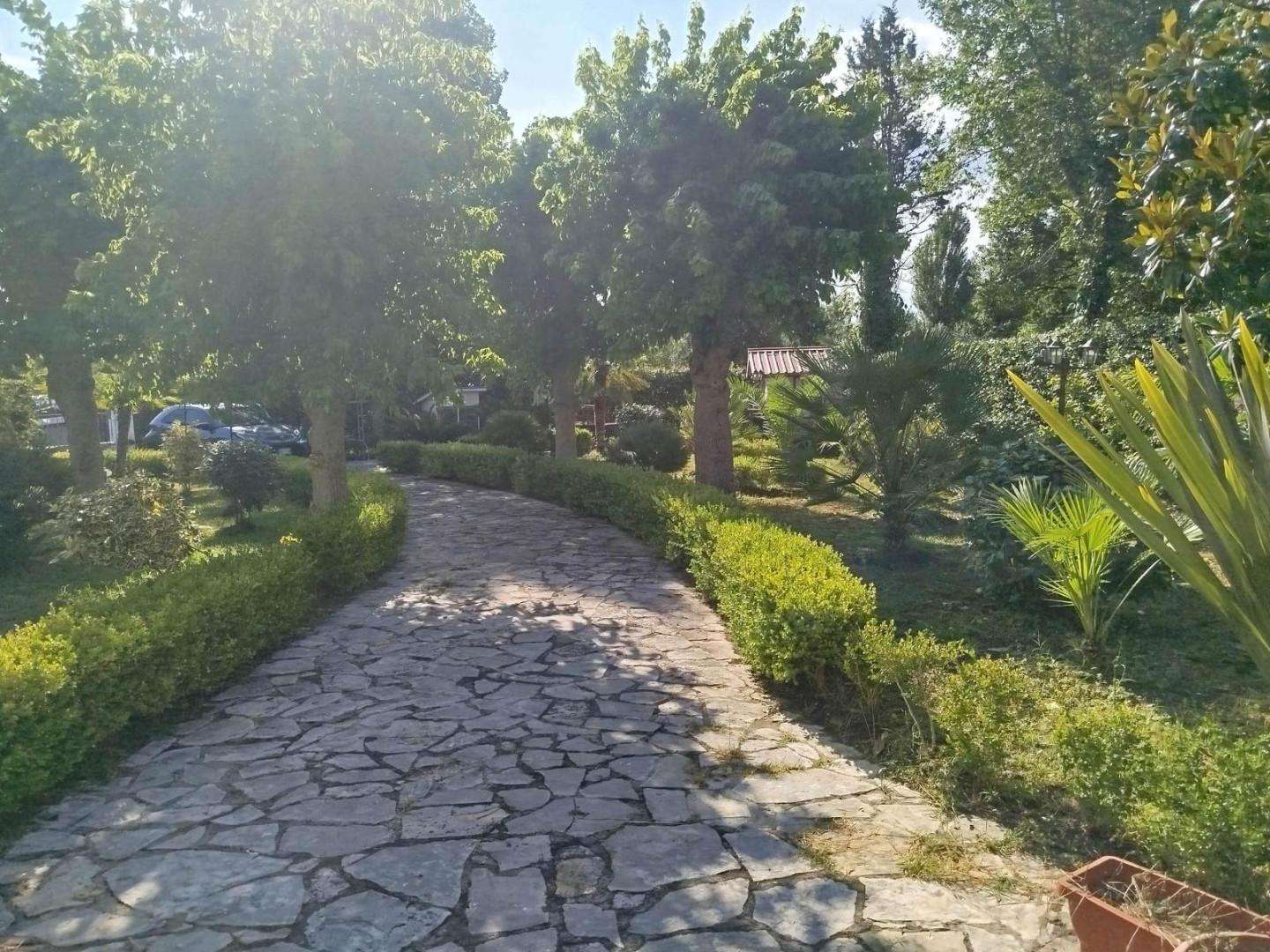  - foto 2