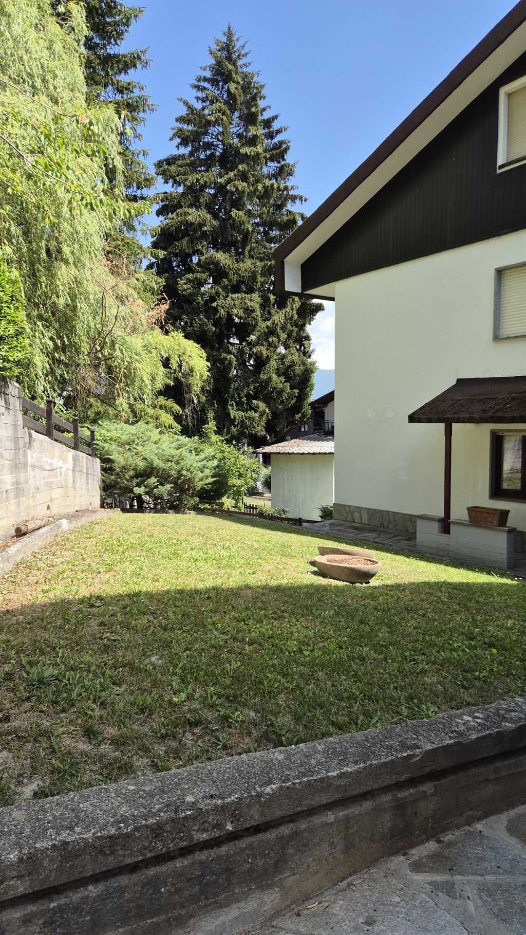  - foto 12