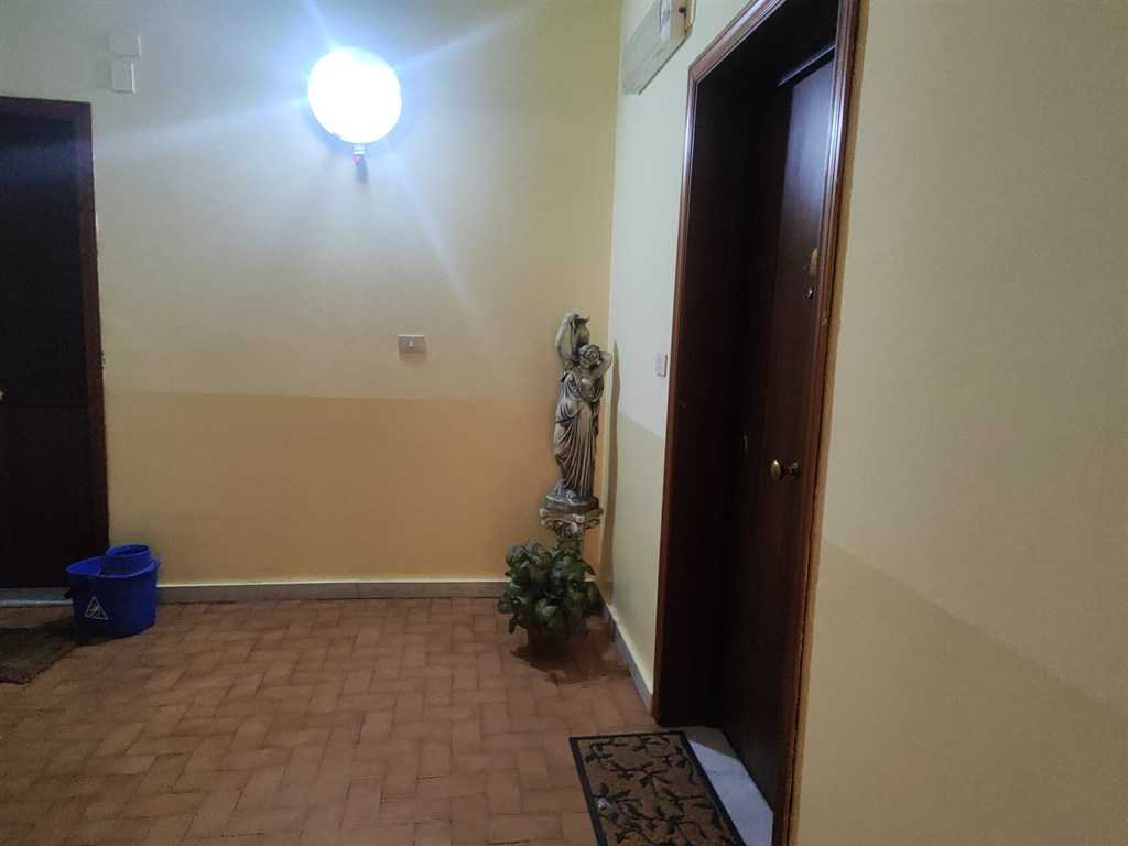  - foto 12