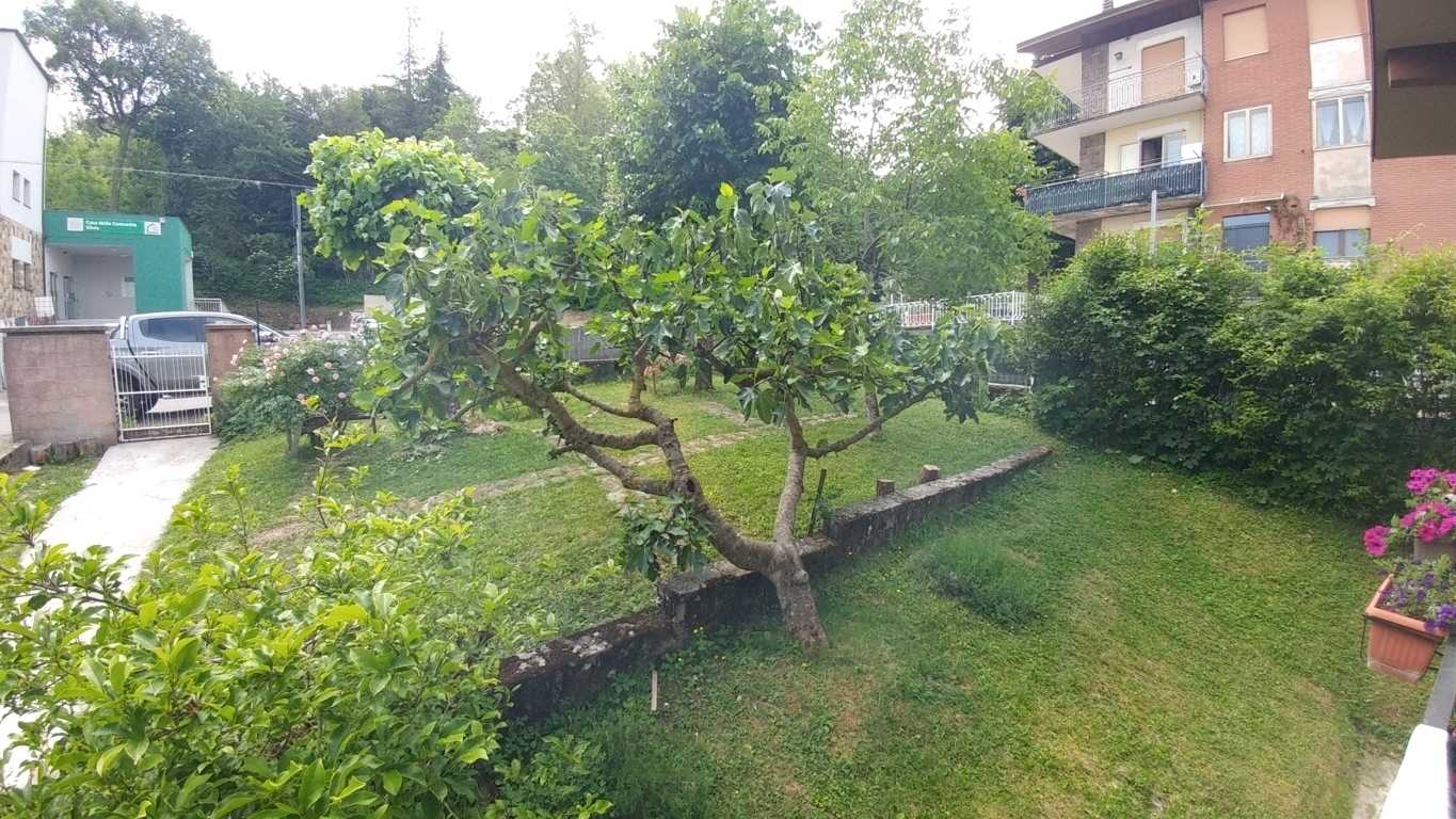  - foto 34