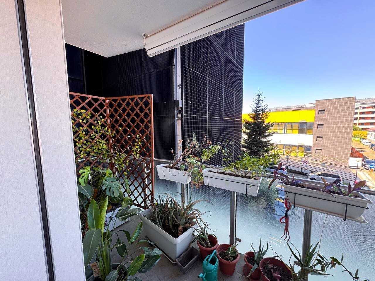  - foto 18