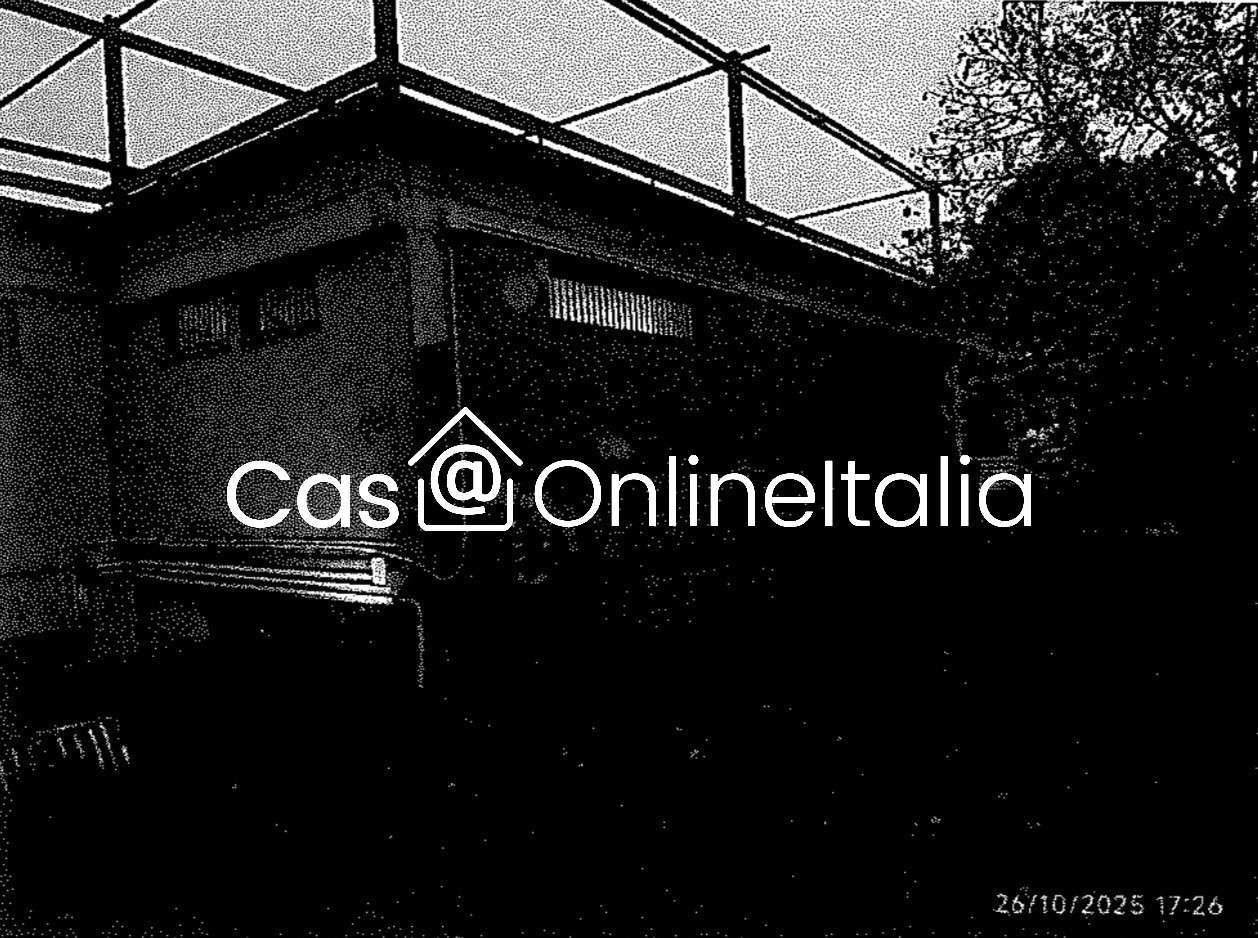  - foto 4