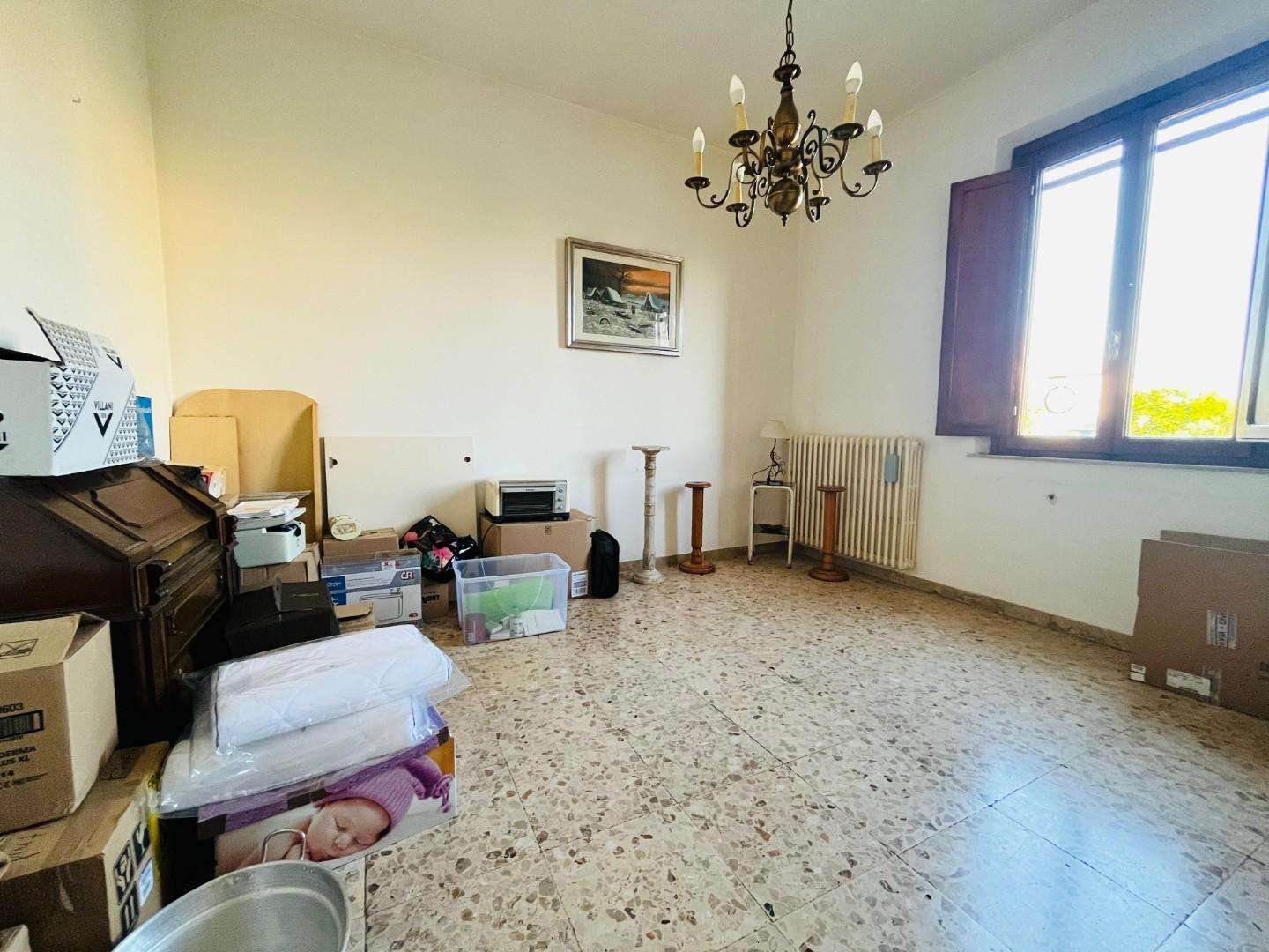  - foto 11