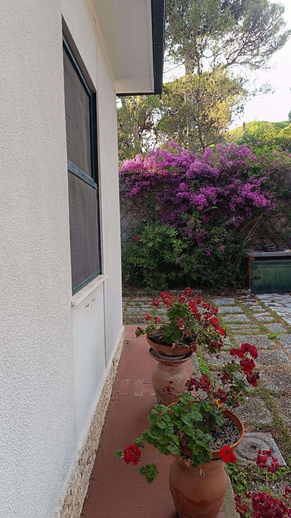  - foto 30