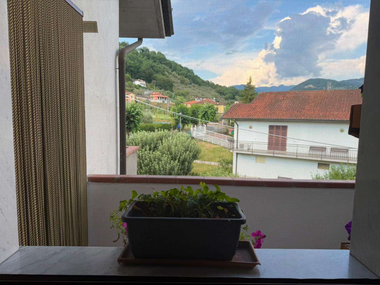  - foto 7