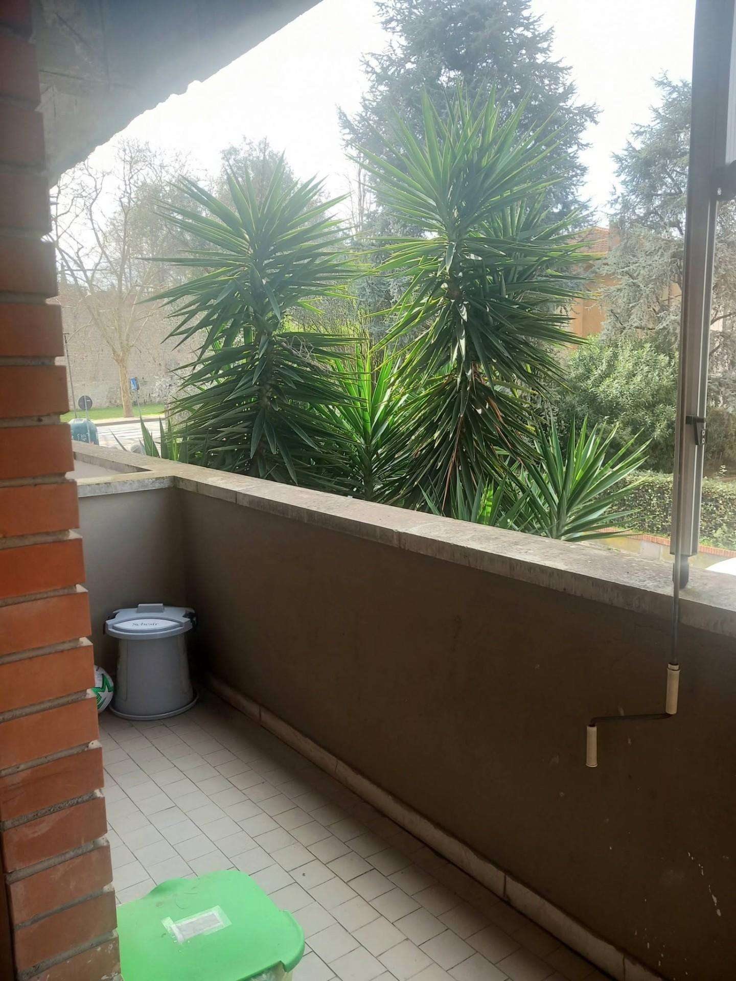  - foto 16