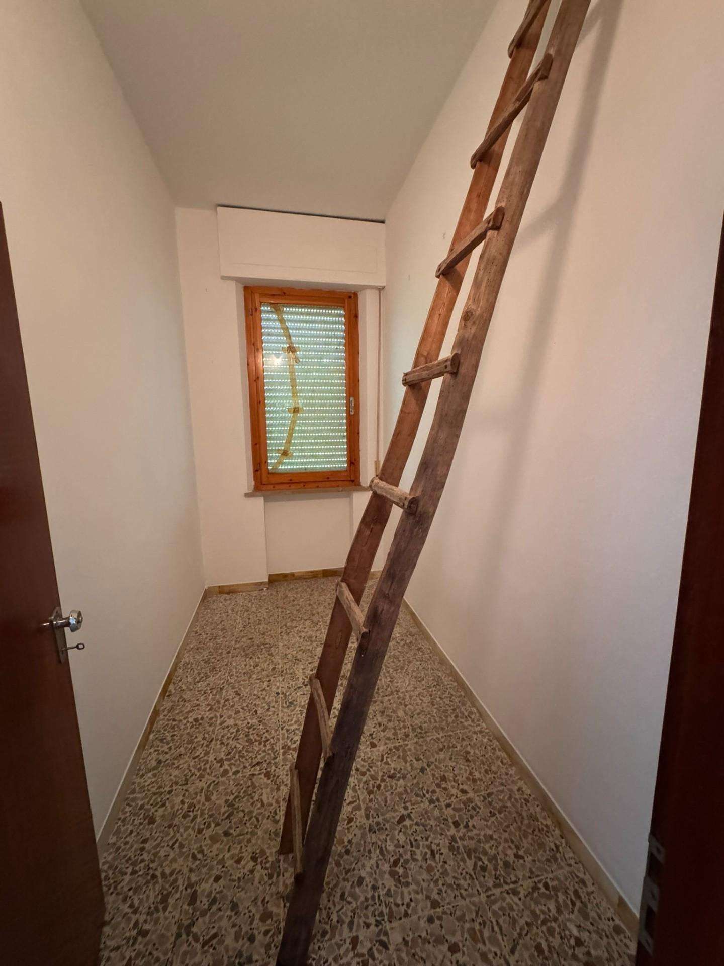  - foto 14