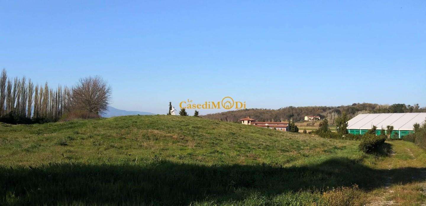  - foto 15