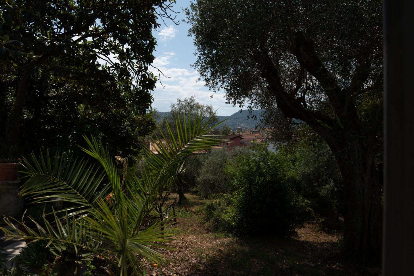  - foto 6