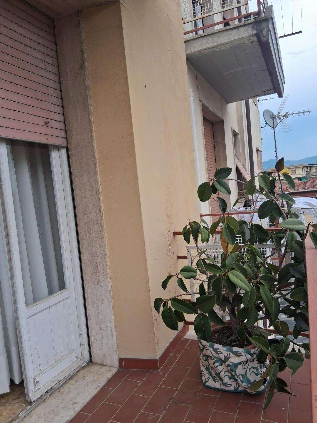  - foto 6