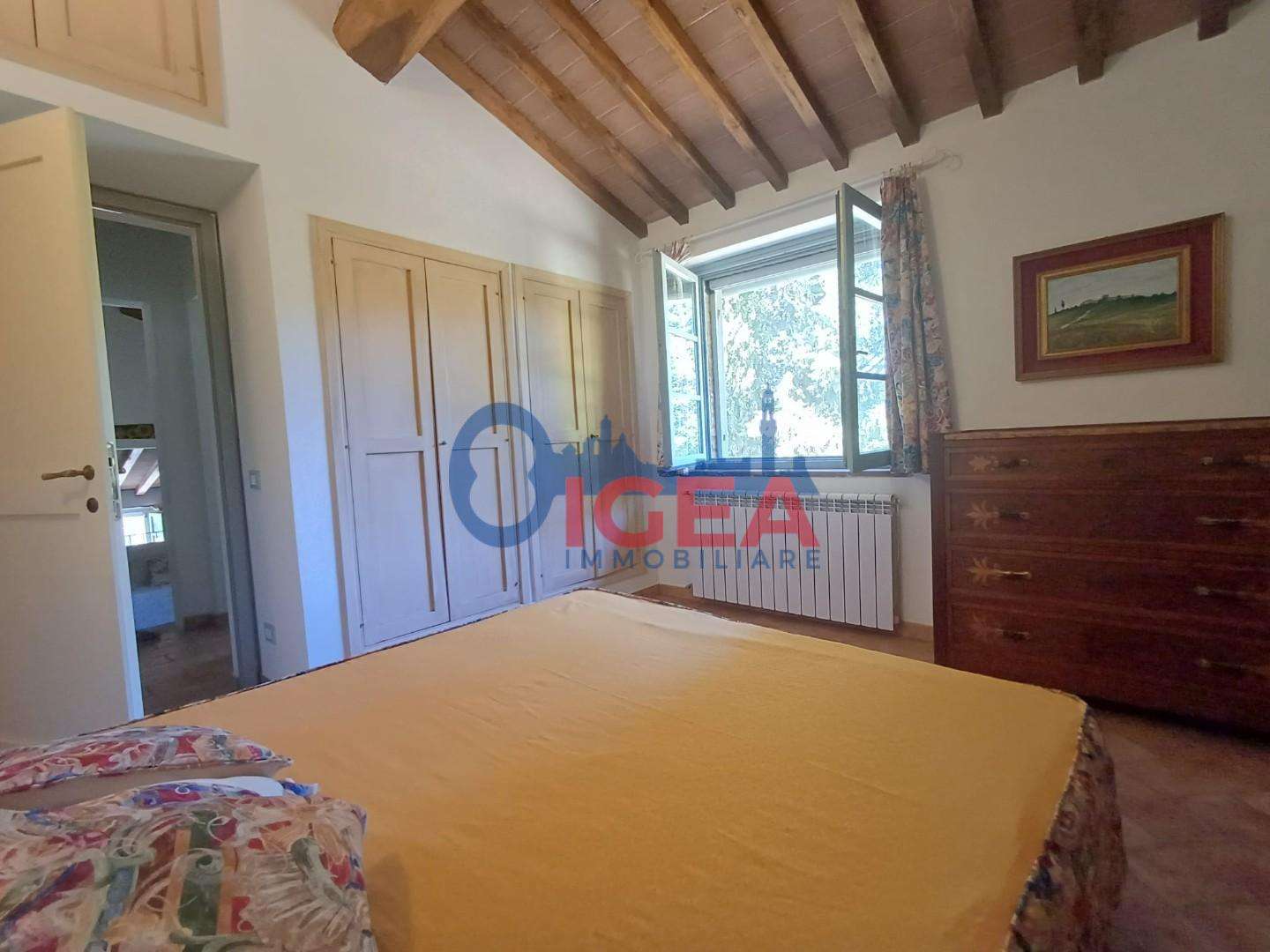 - foto 36