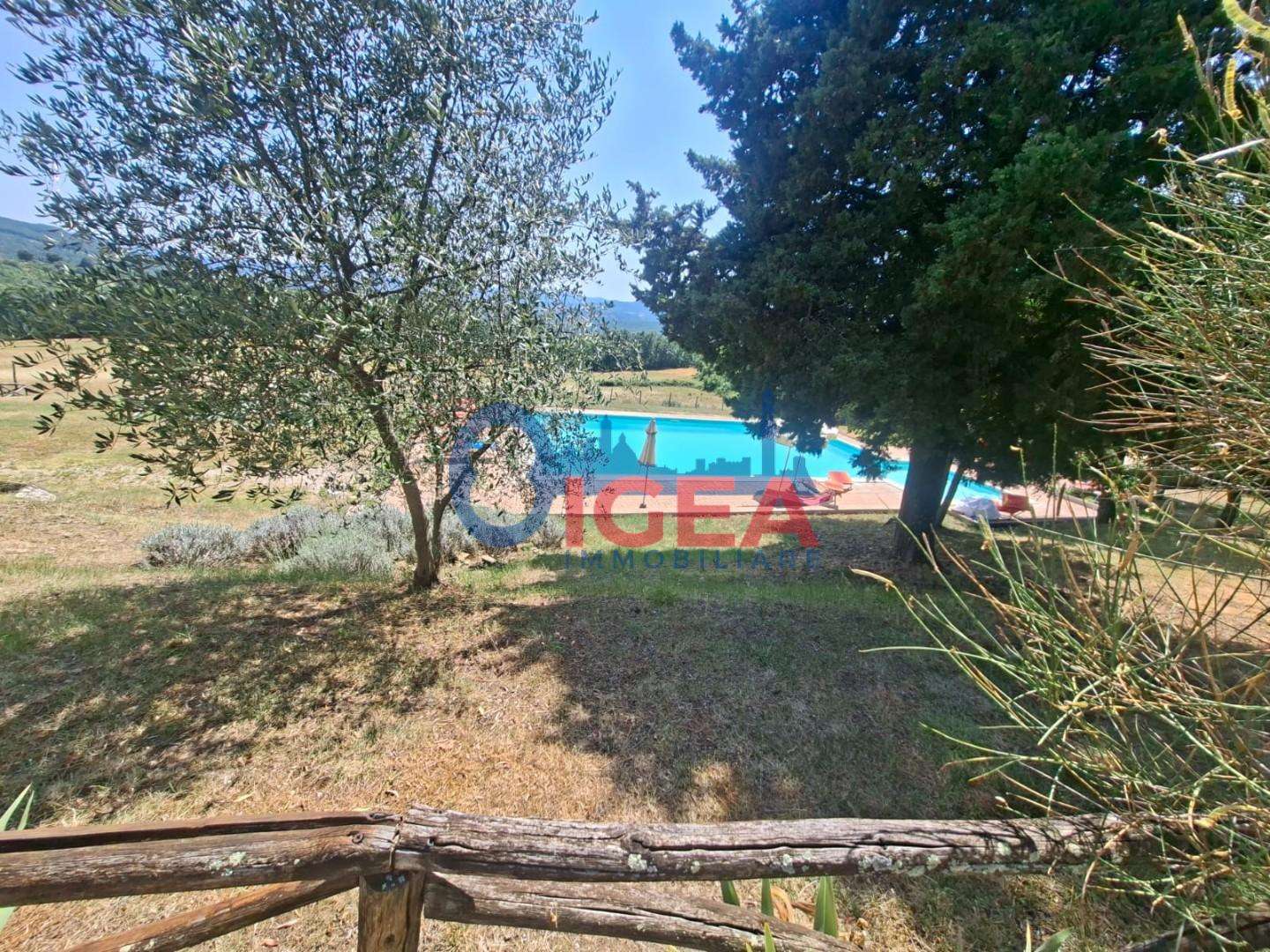  - foto 7