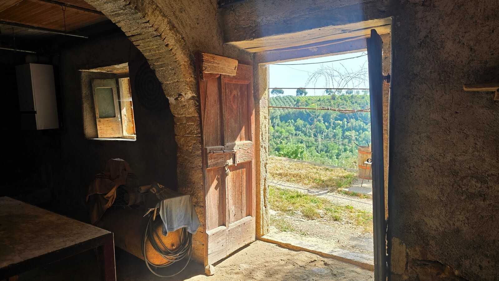  - foto 24