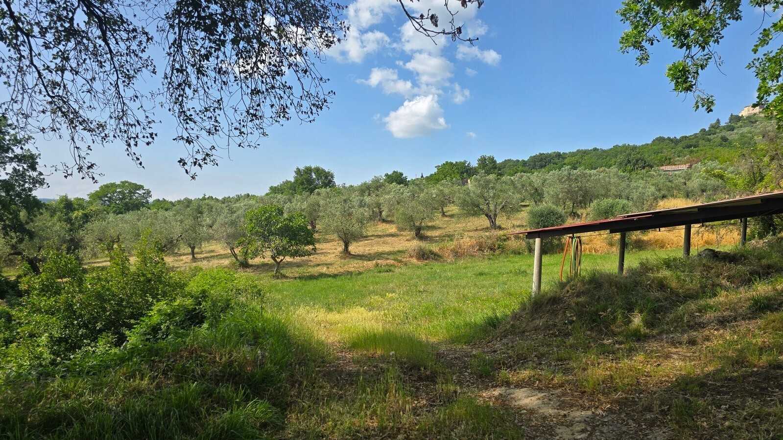  - foto 31