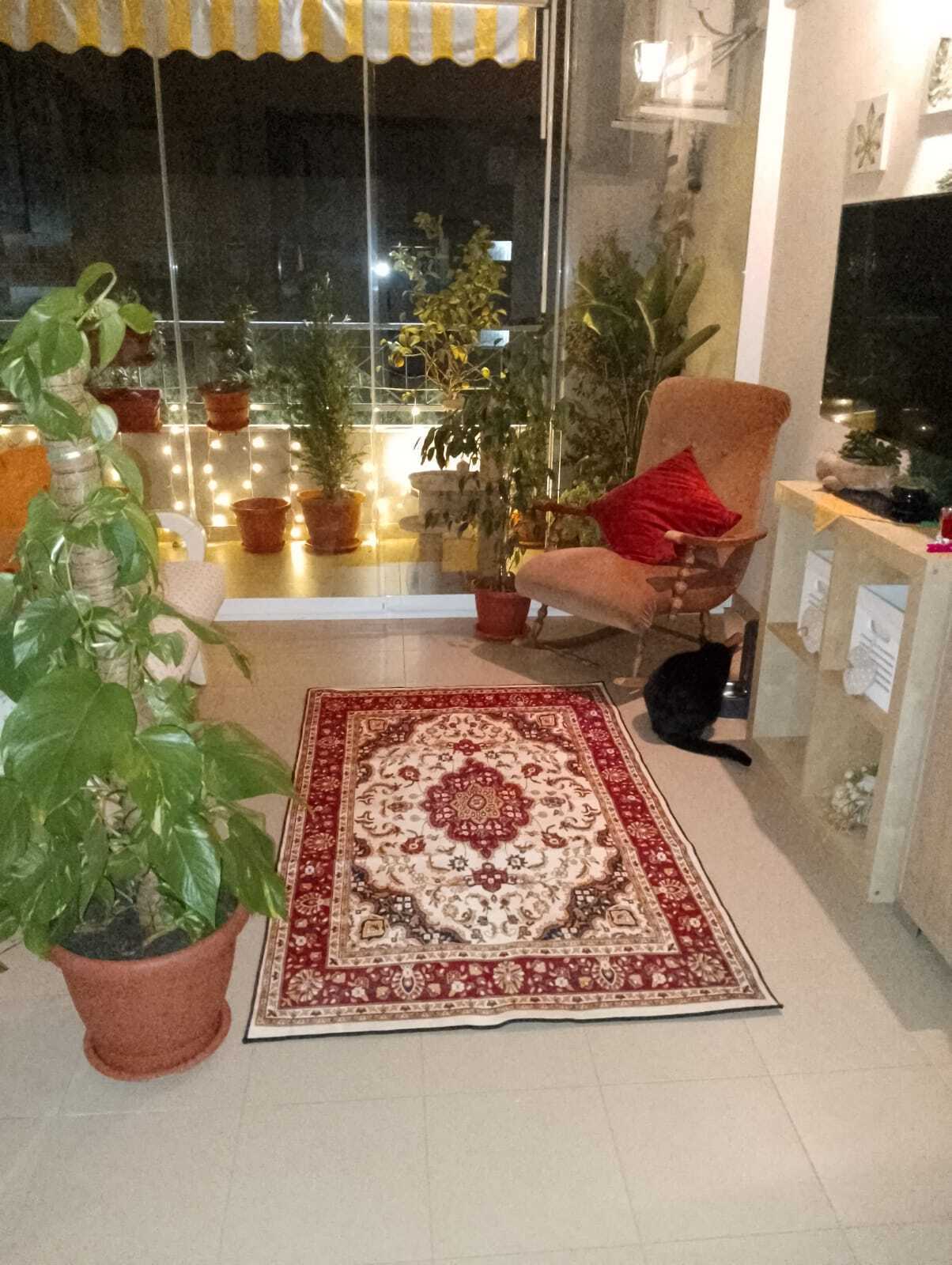  - foto 27