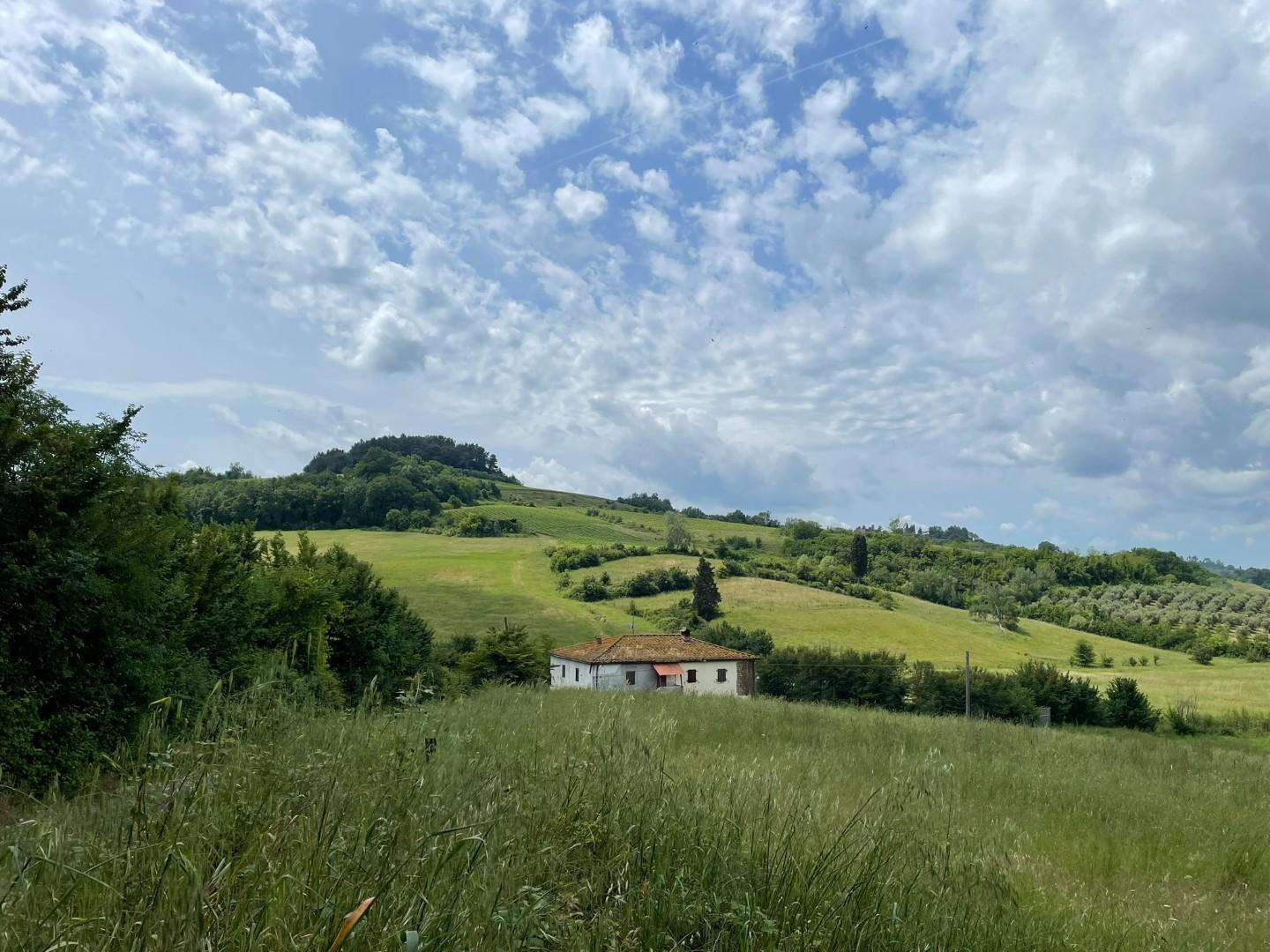  - foto 11