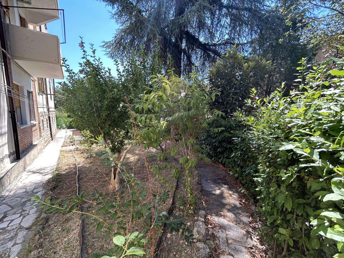  - foto 24