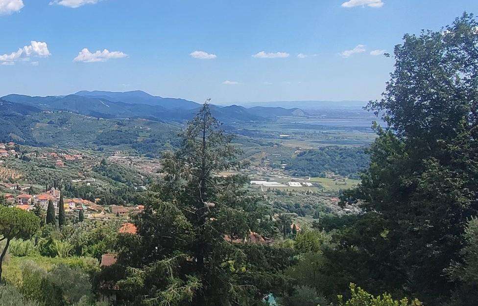 - foto 20