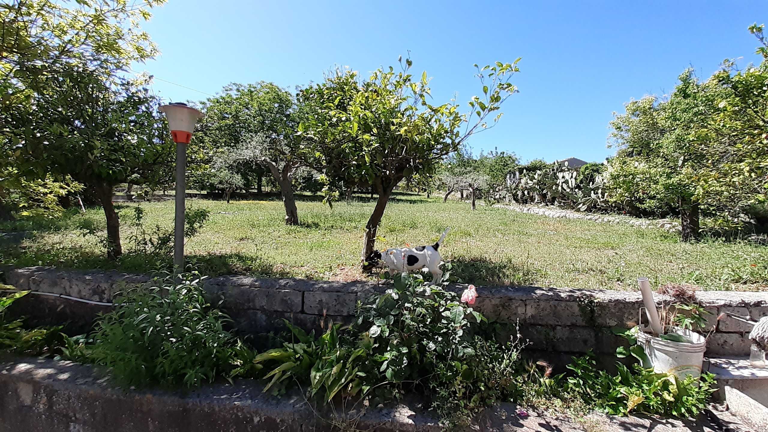  - foto 17