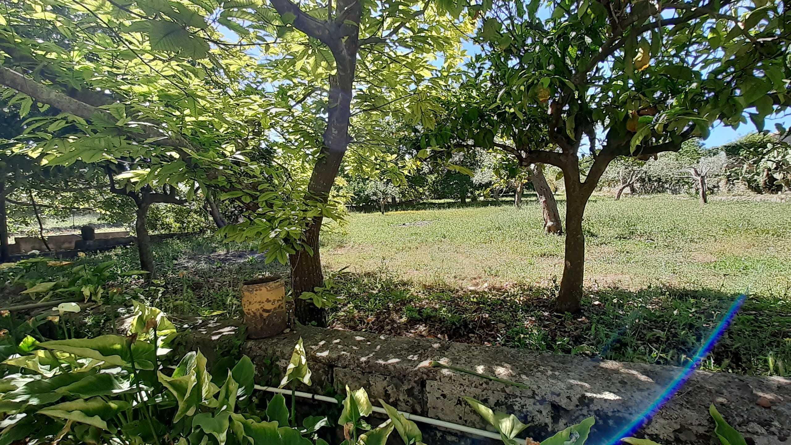 - foto 18