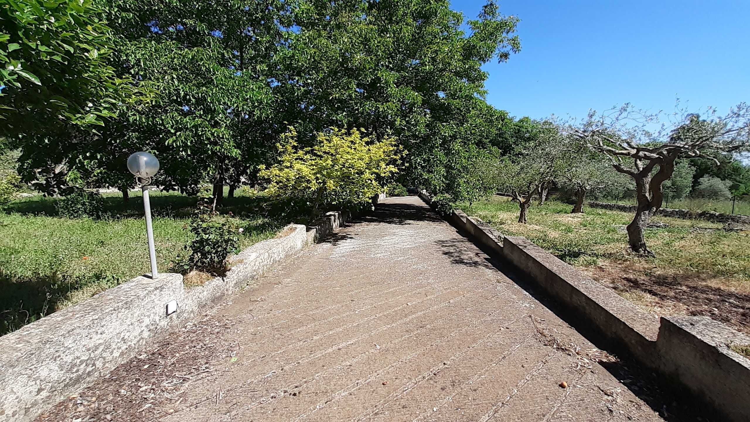  - foto 40