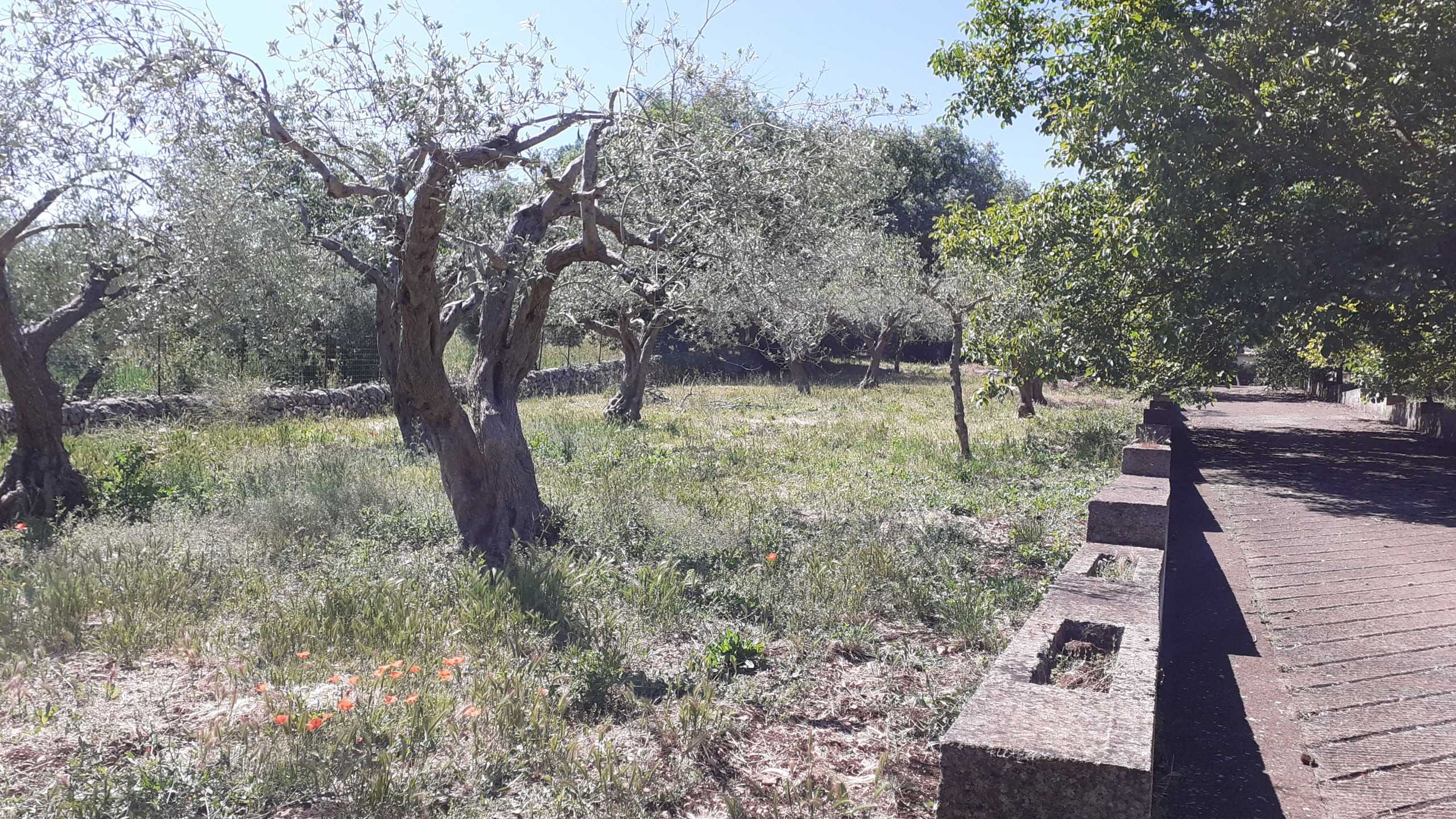  - foto 44