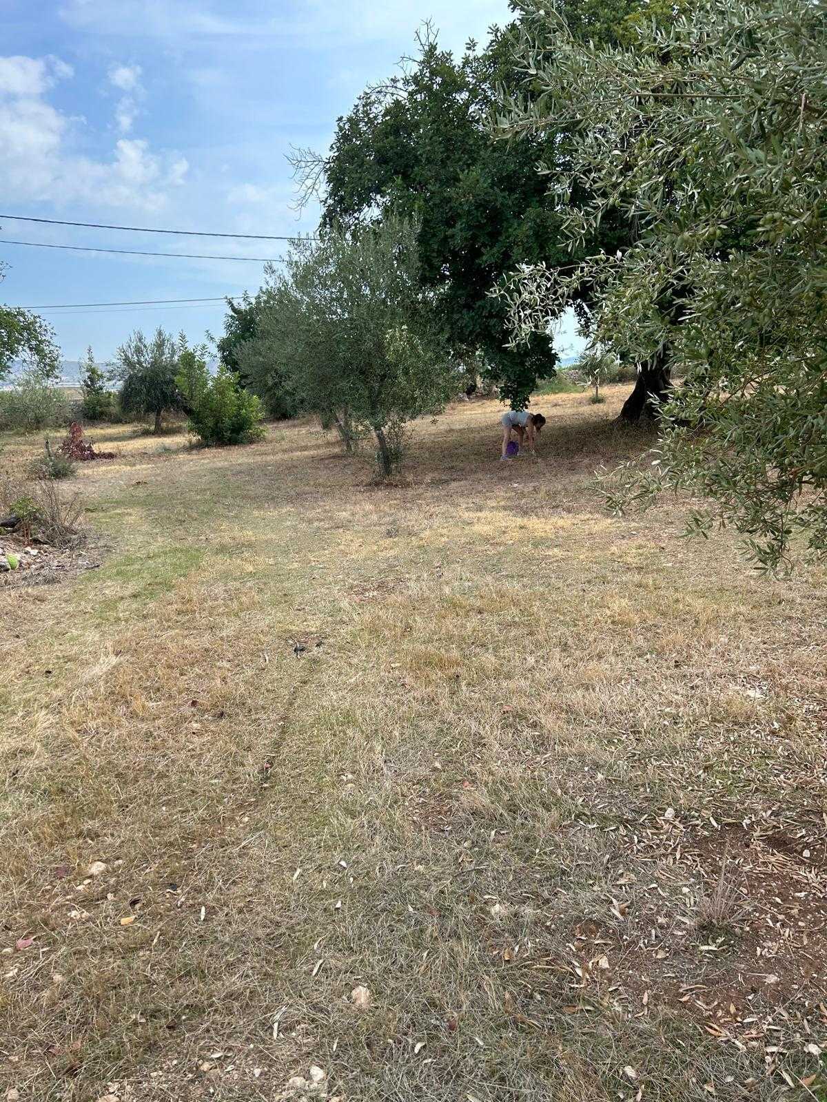  - foto 41