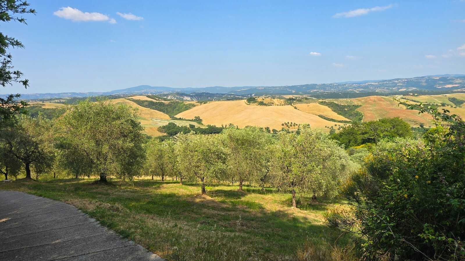 - foto 49