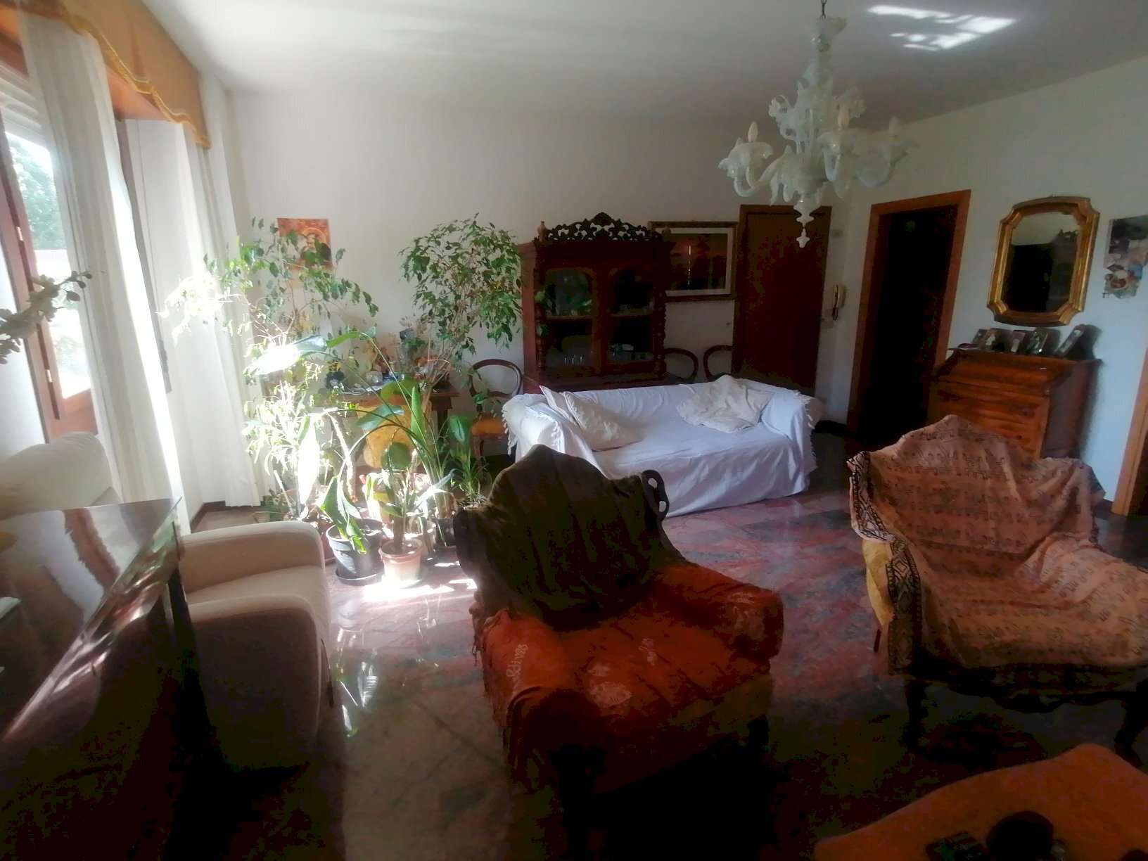  - foto 13