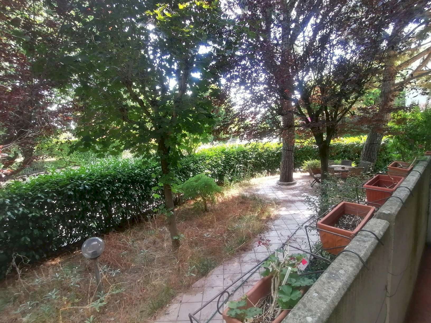  - foto 21