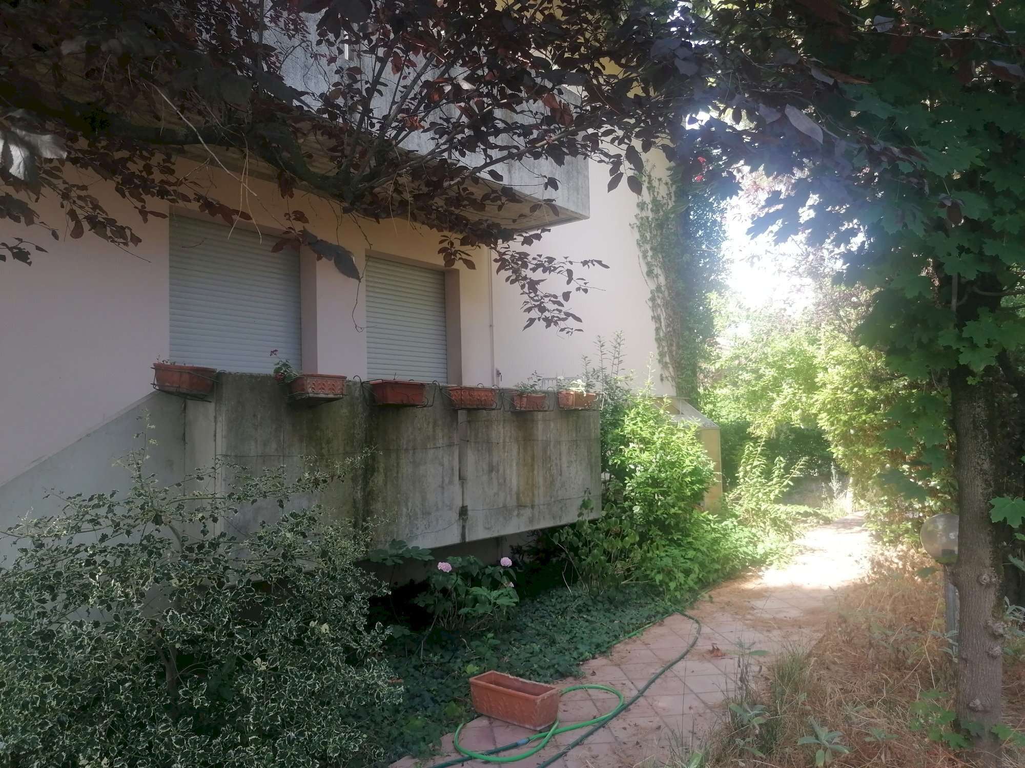  - foto 4