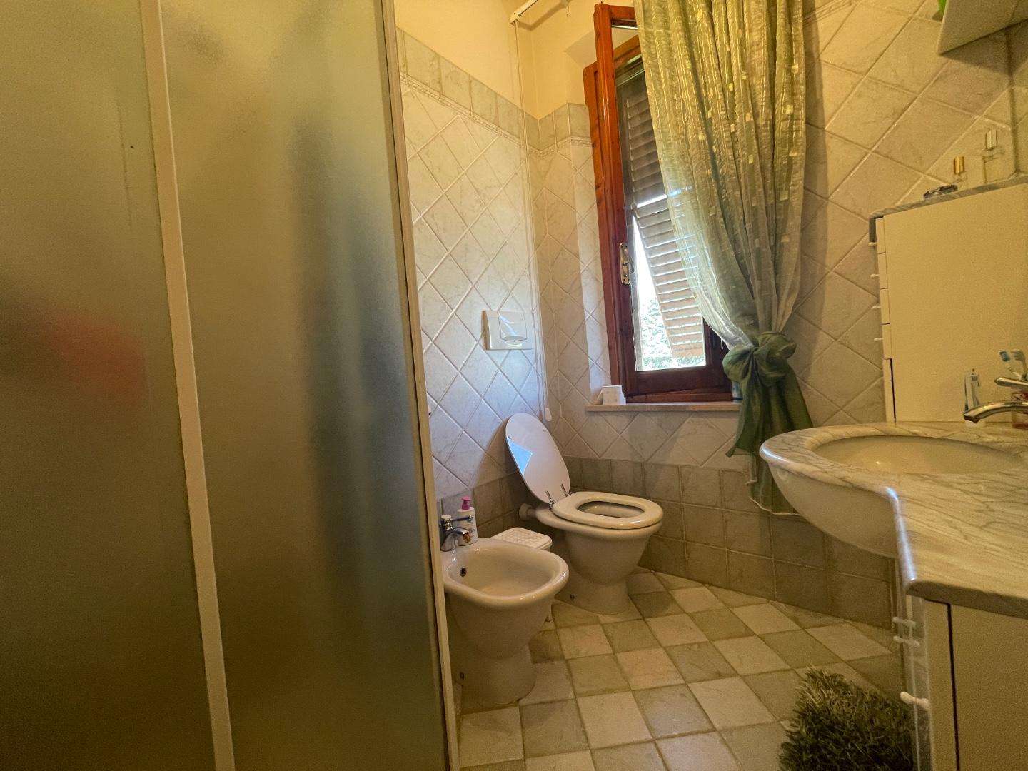  - foto 14