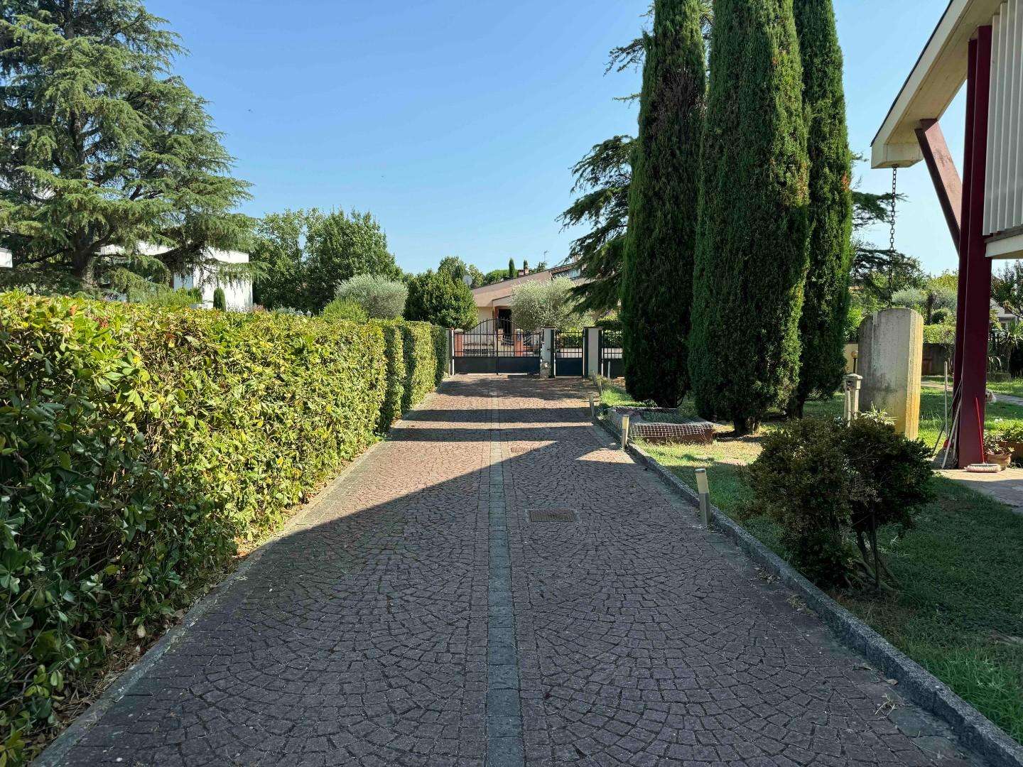  - foto 11