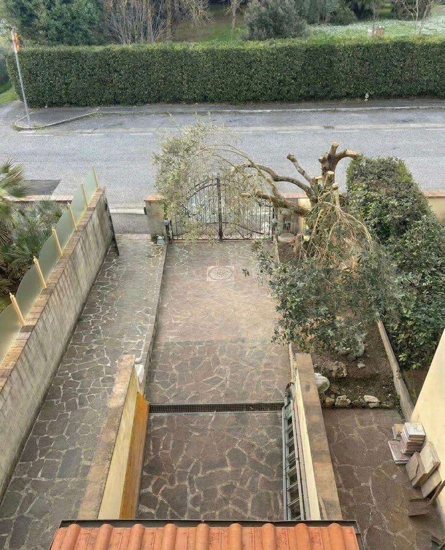  - foto 19