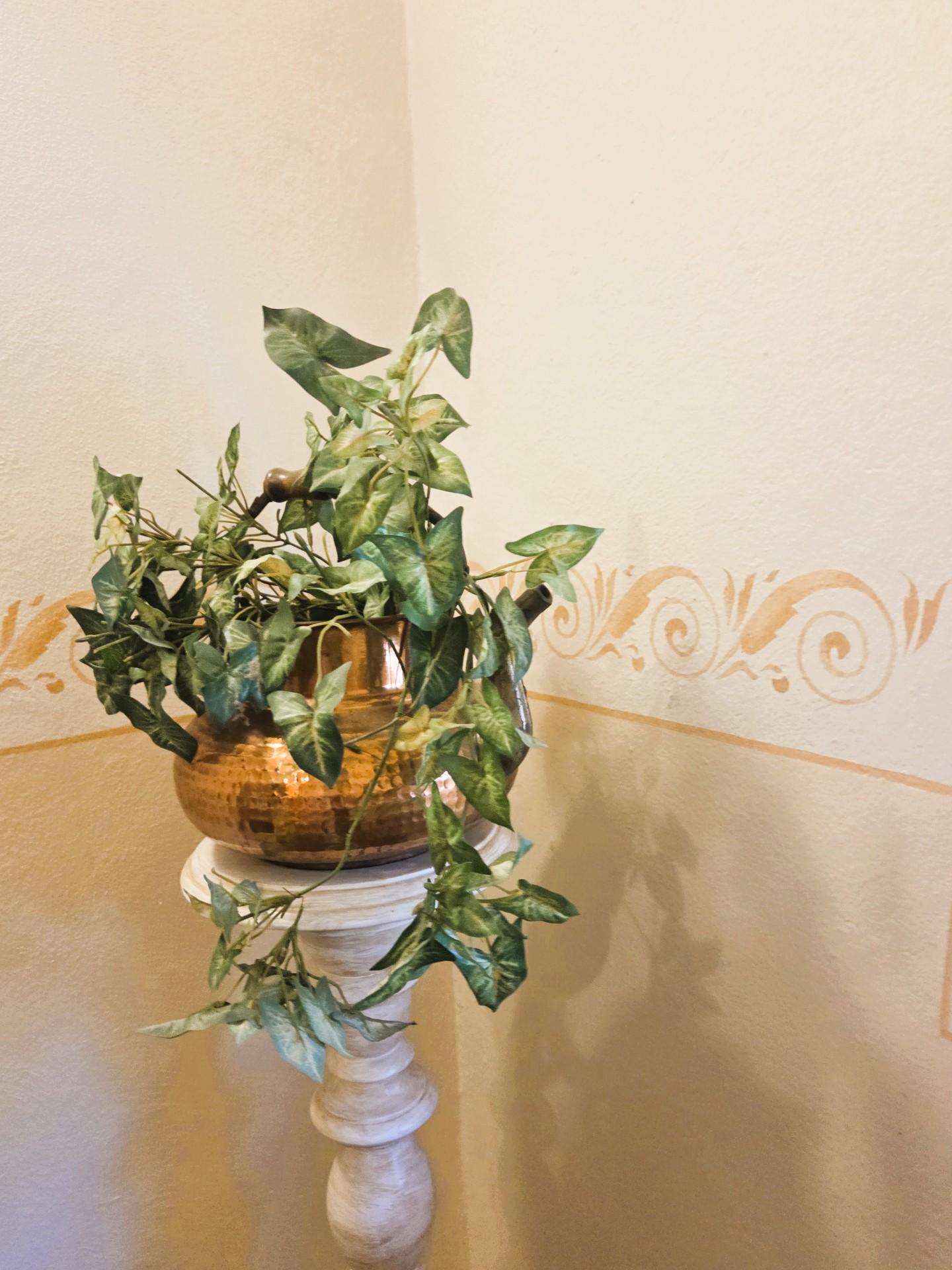  - foto 26