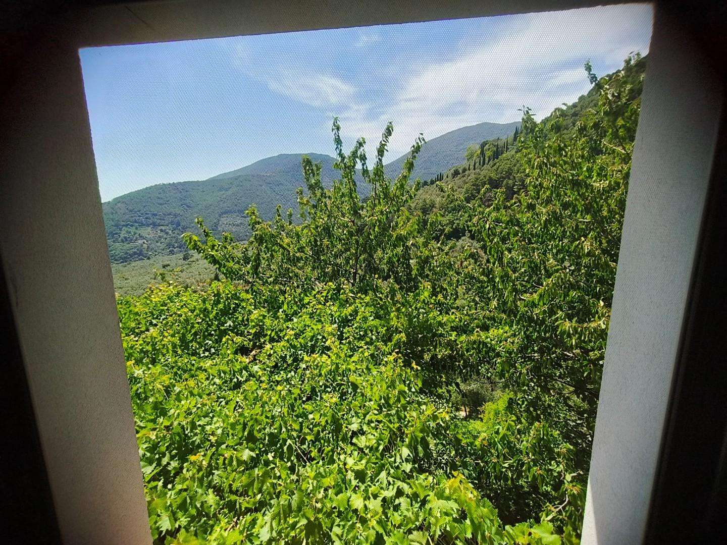  - foto 25