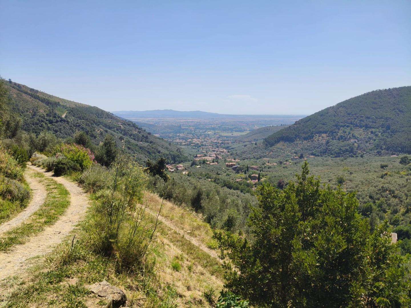  - foto 36