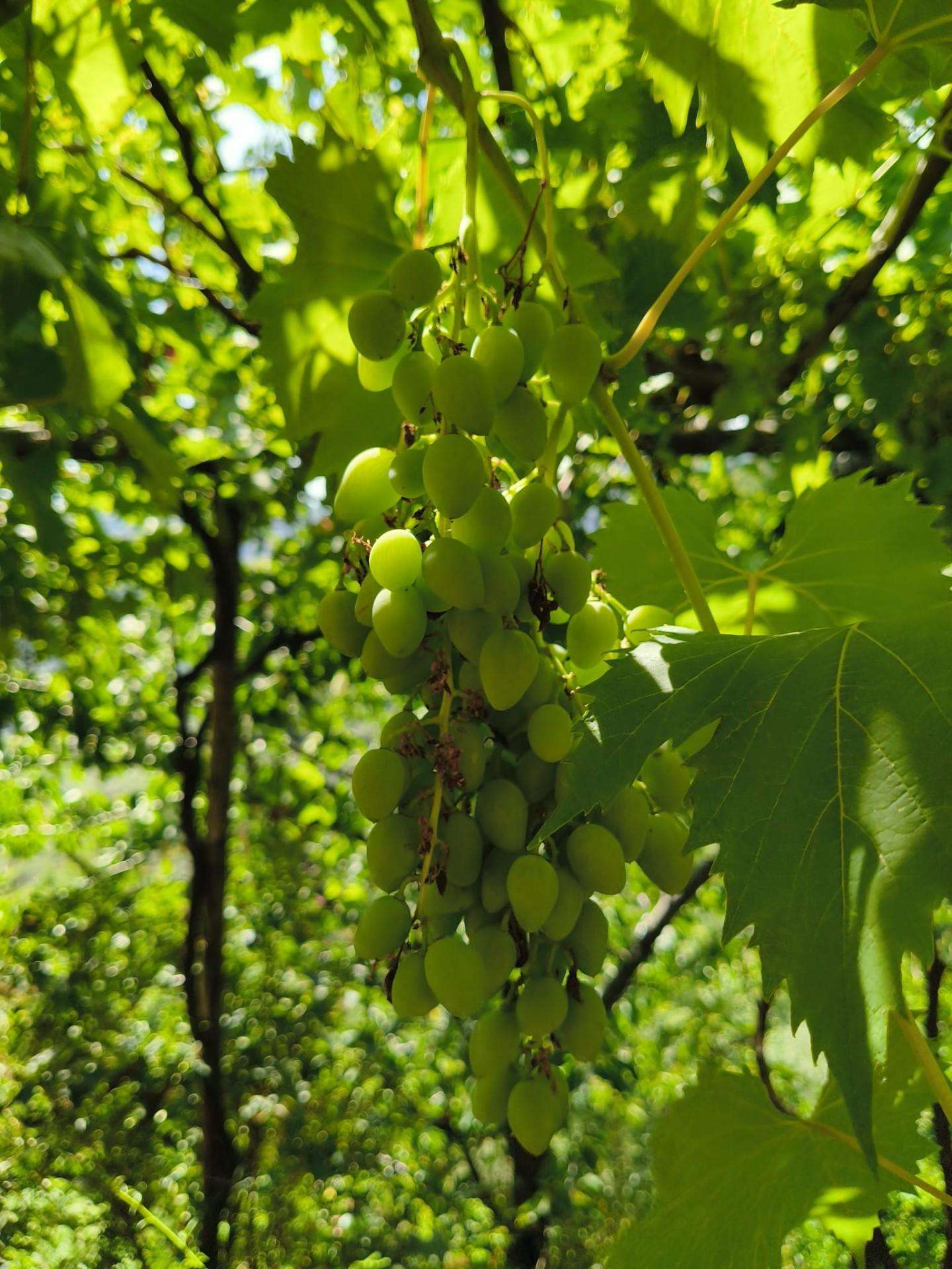 - foto 44