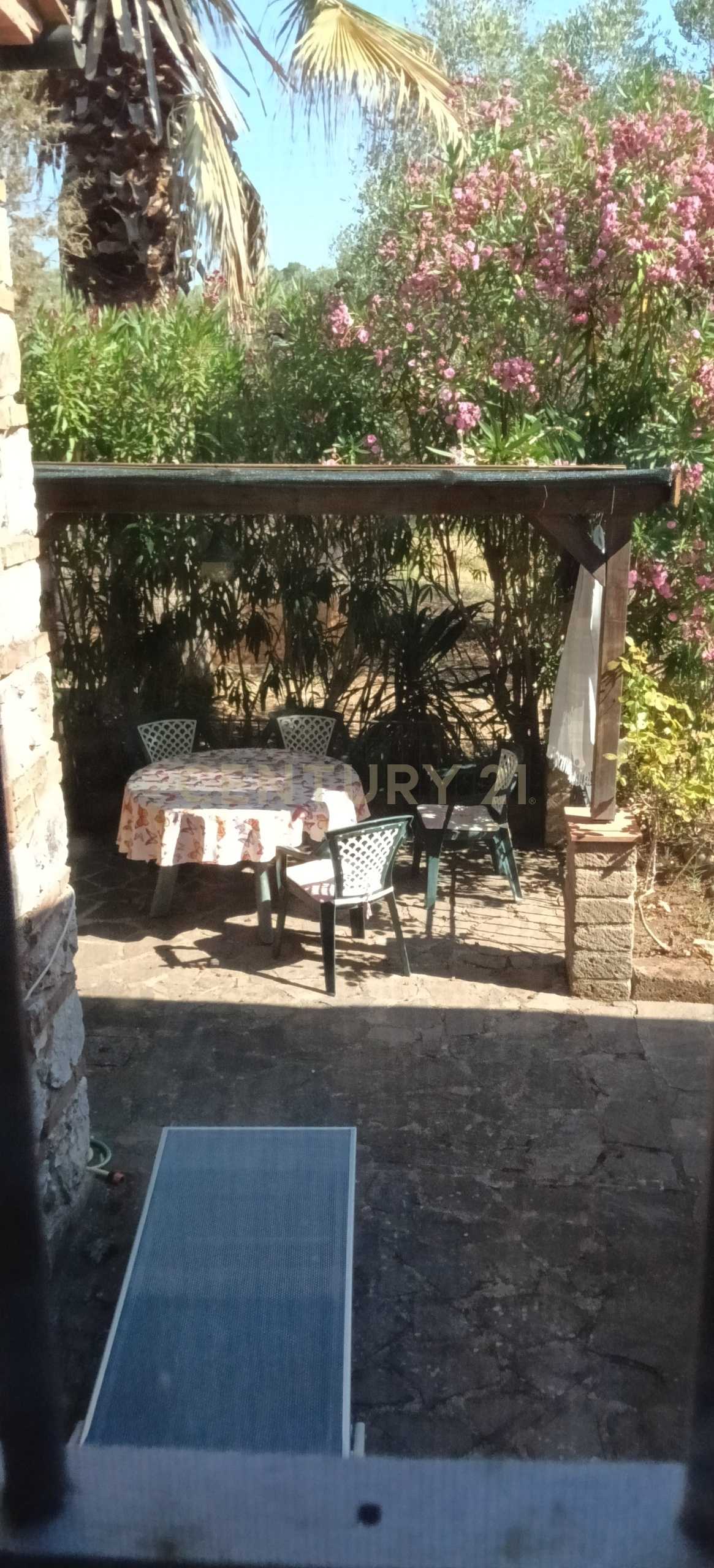  - foto 14
