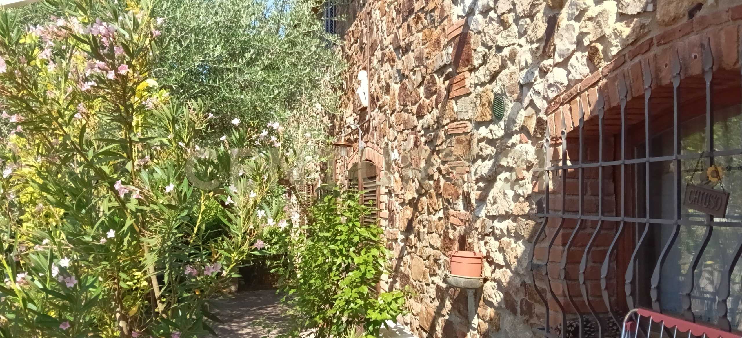  - foto 17