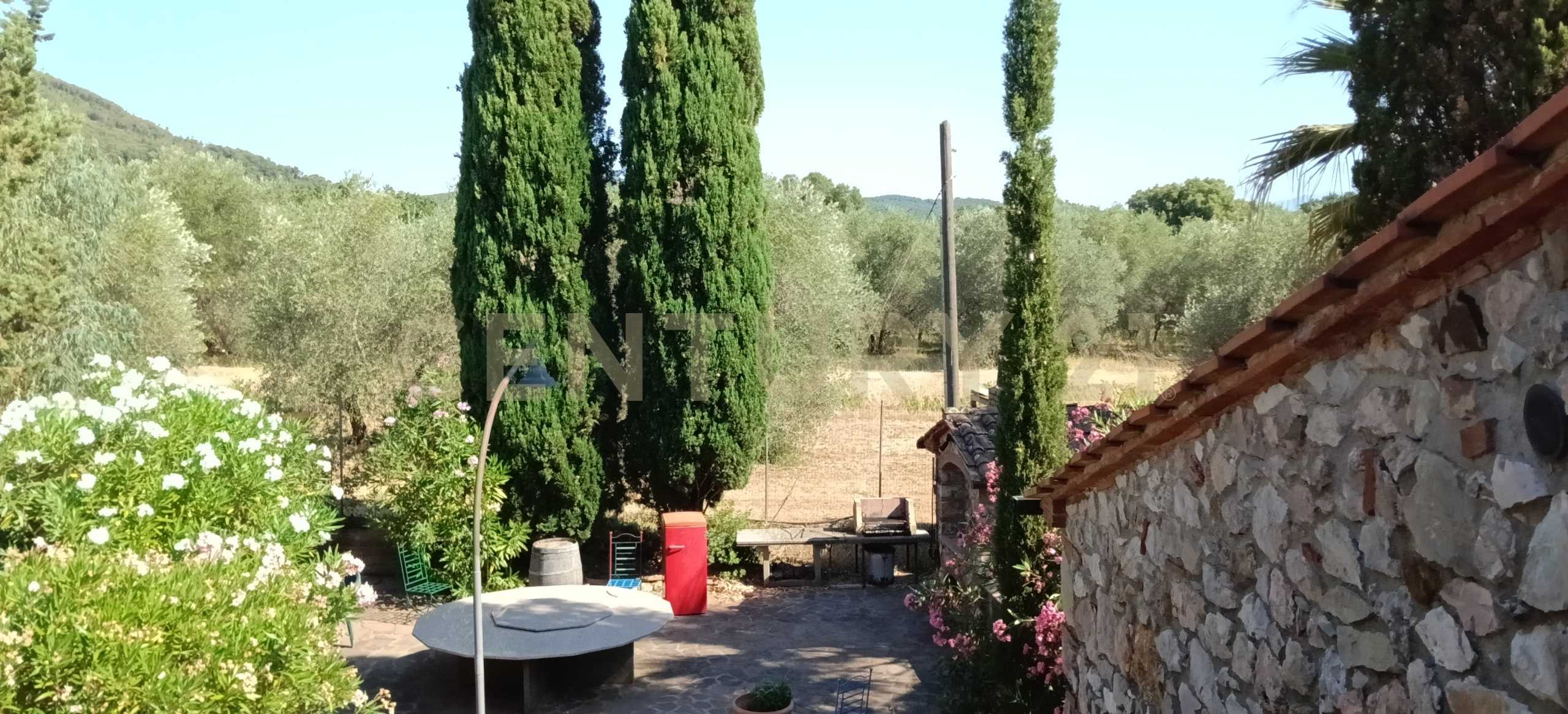  - foto 26