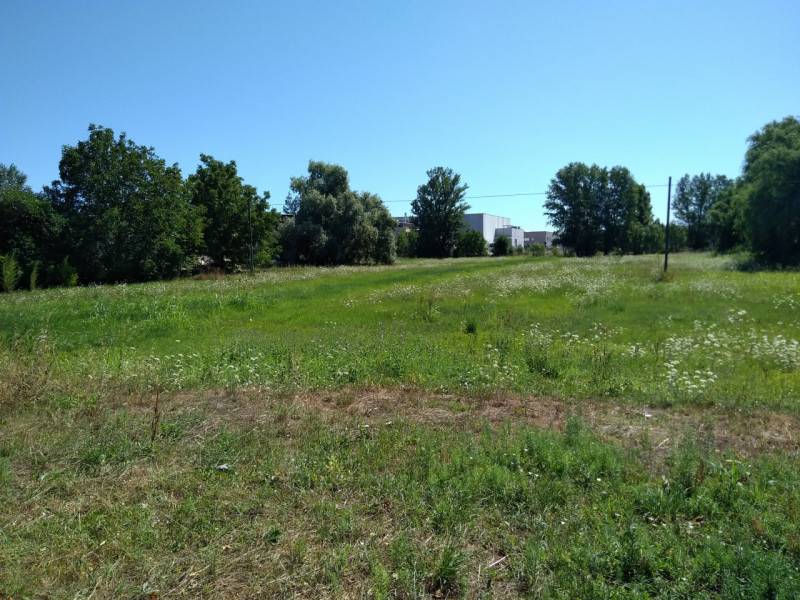 Terreno edificabile Novi di Modena, Novi di Modena