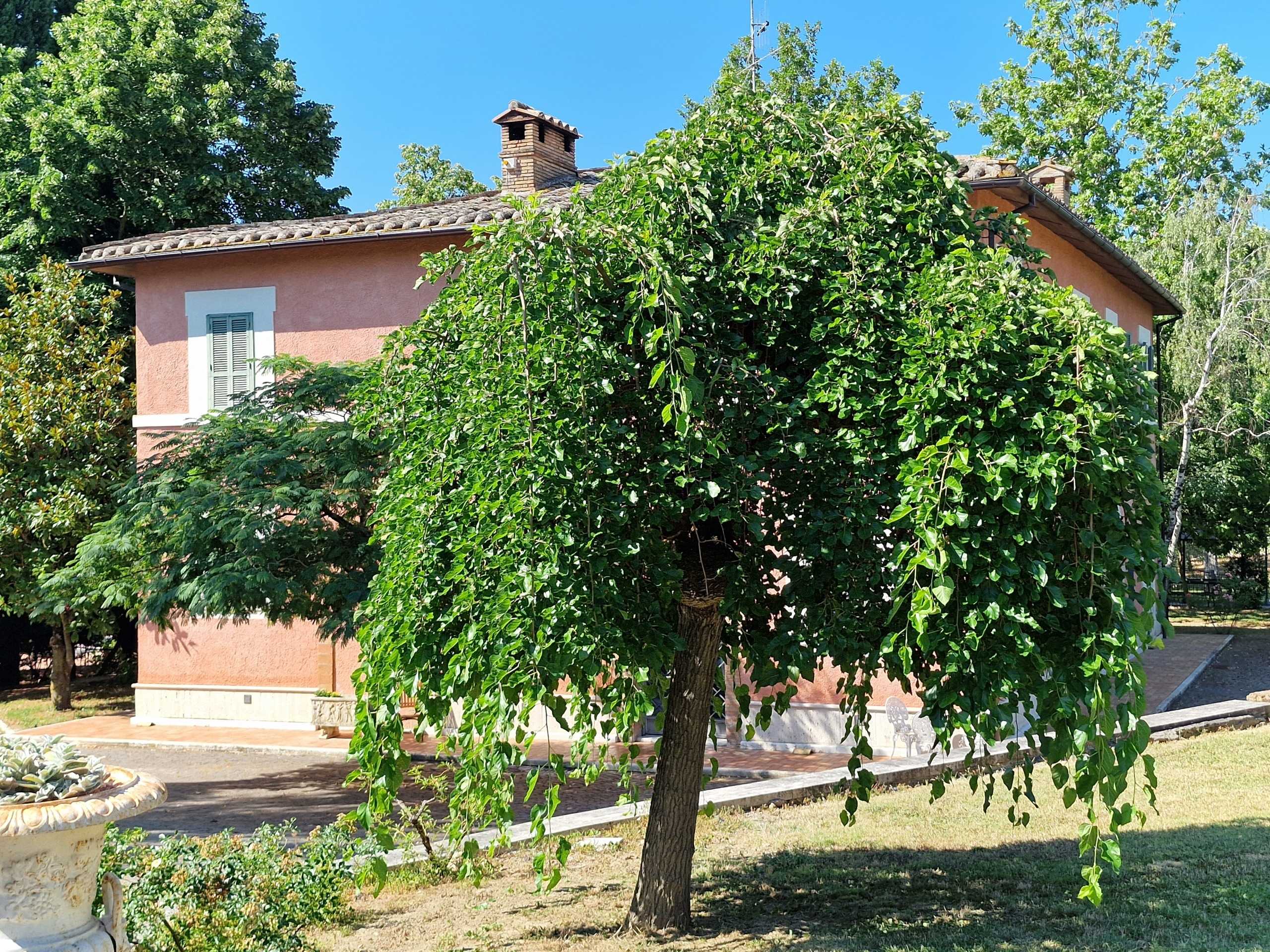 - foto 30