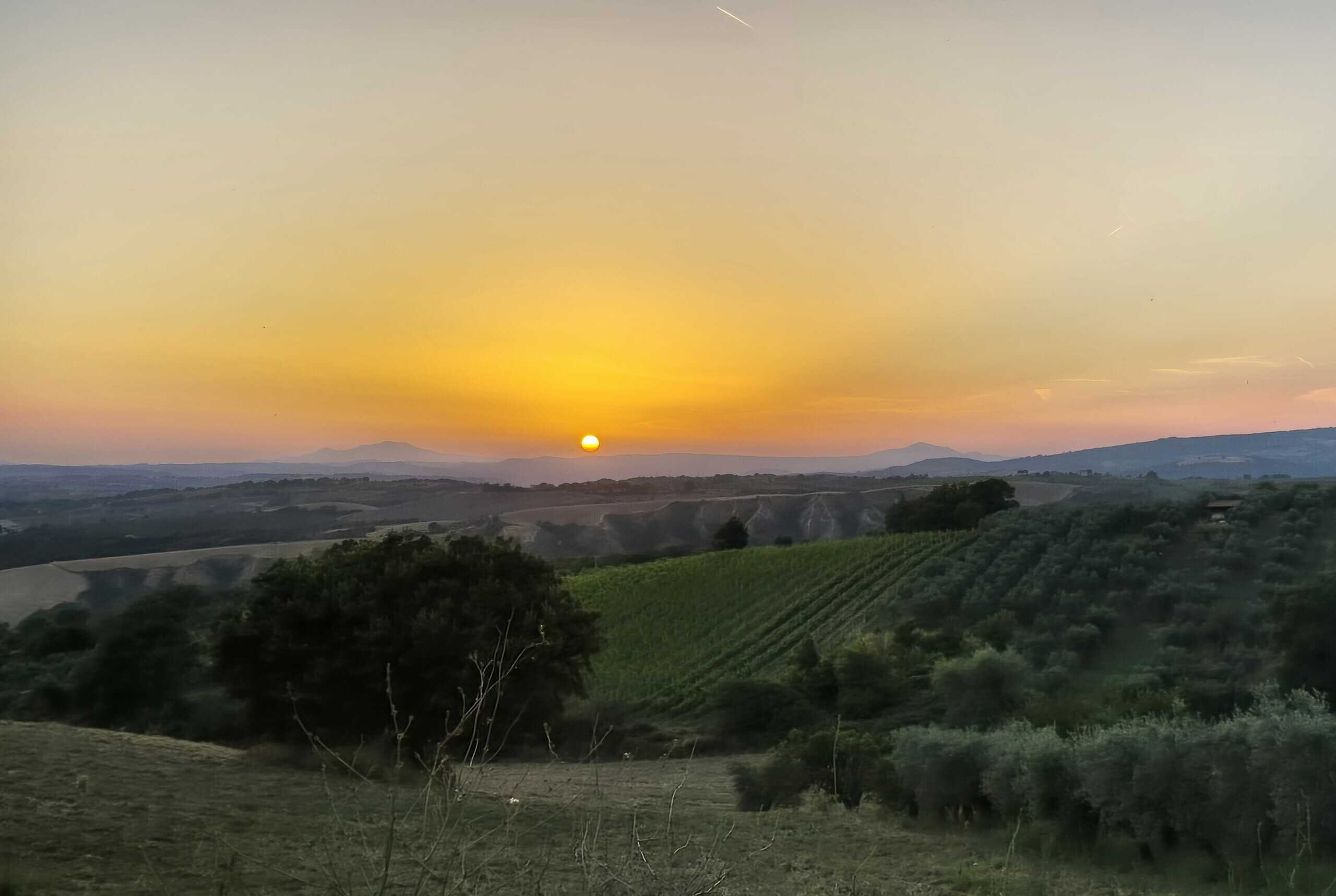  - foto 47
