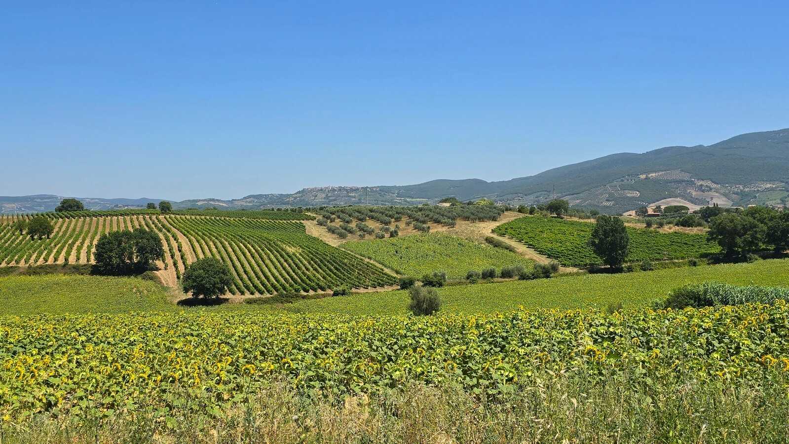  - foto 8