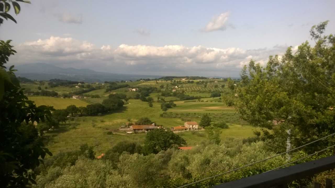  - foto 12
