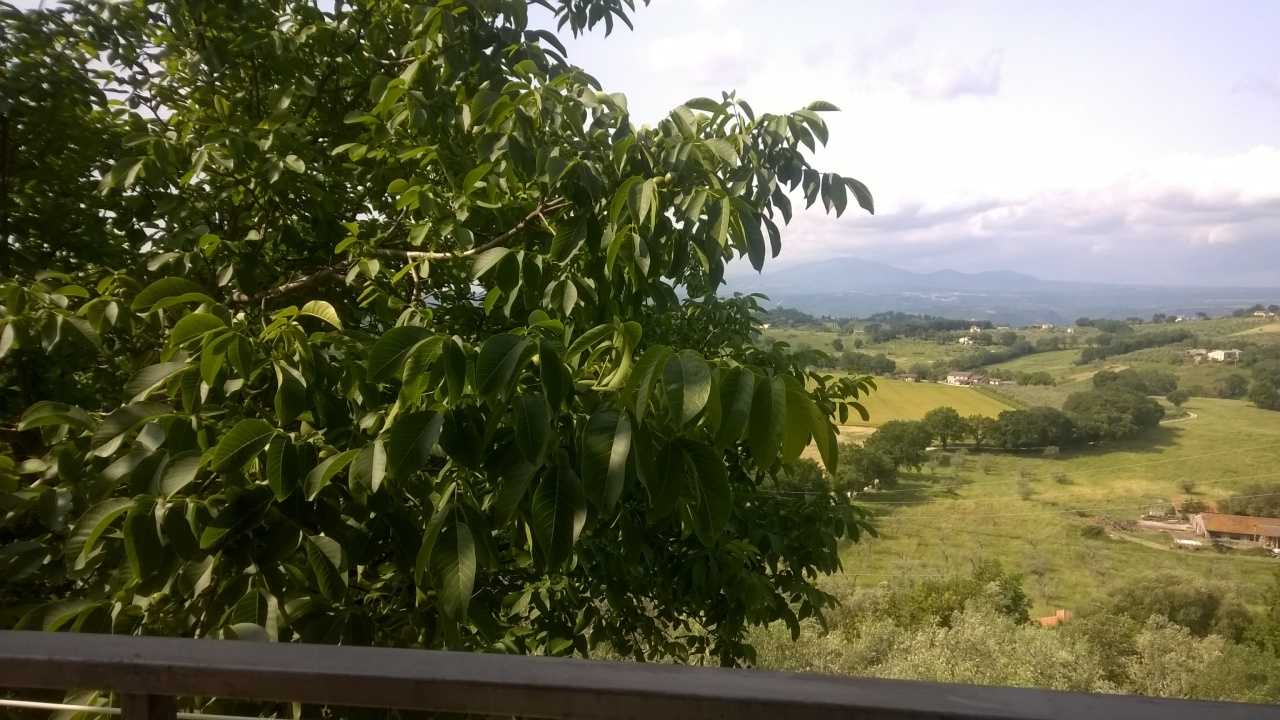  - foto 14