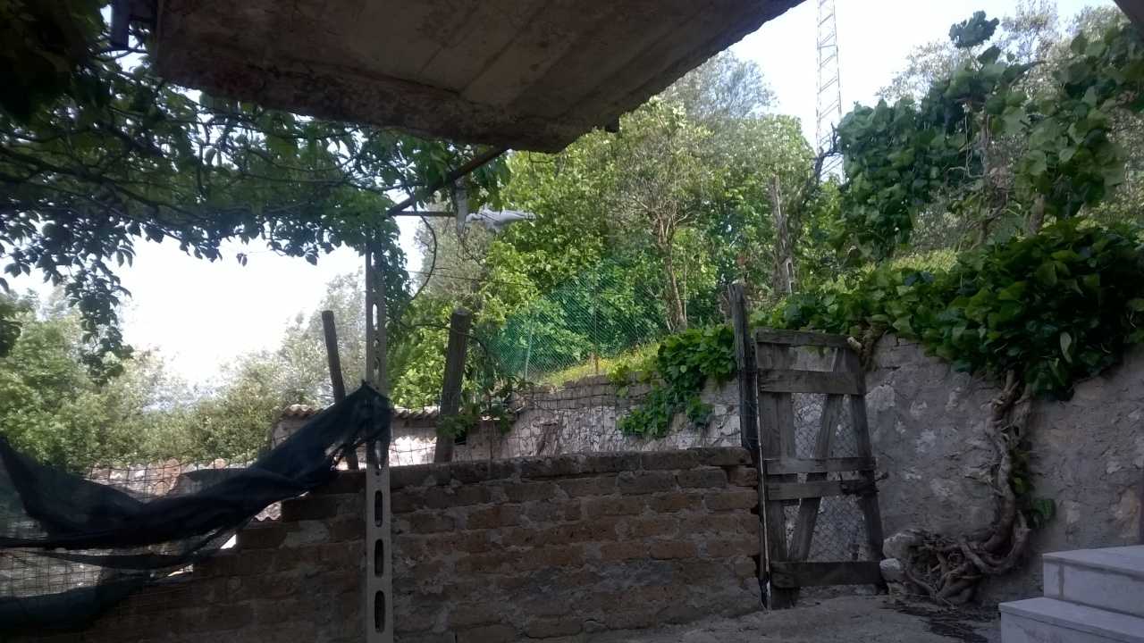  - foto 42