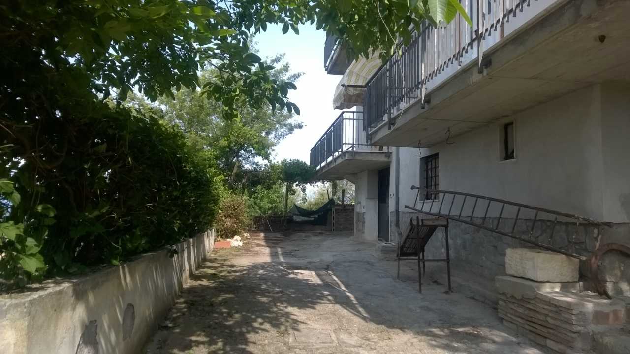  - foto 44