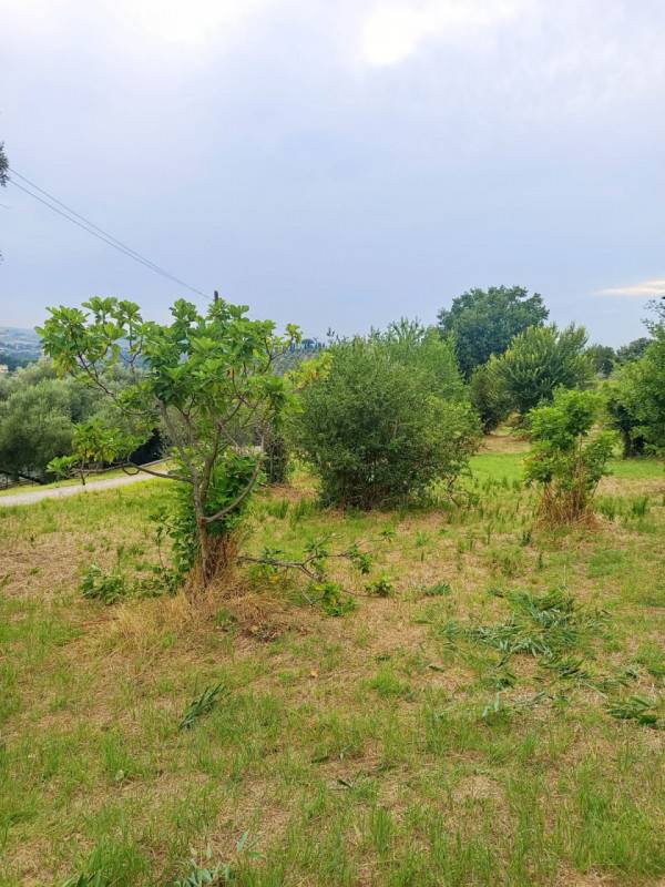  - foto 3
